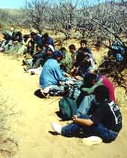 Illegal Aliens